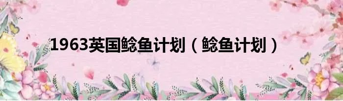 1963英国鲶鱼计划（鲶鱼计划）