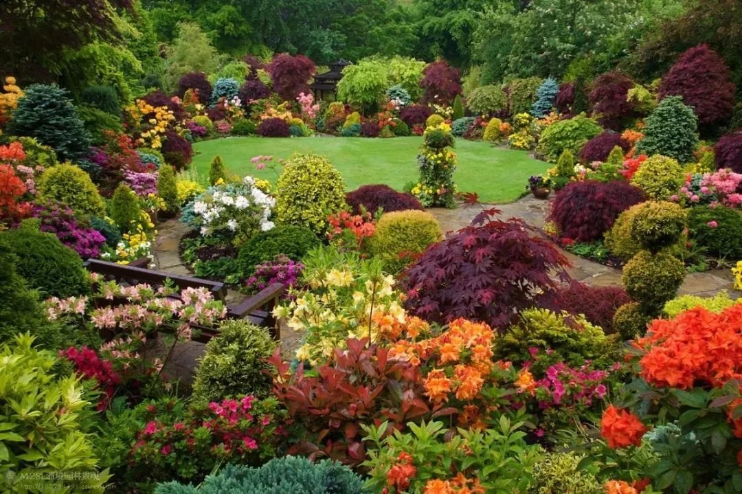 原创:花境按植物材料的分类及各自优缺点