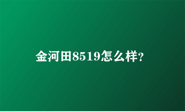 金河田8519怎么样？