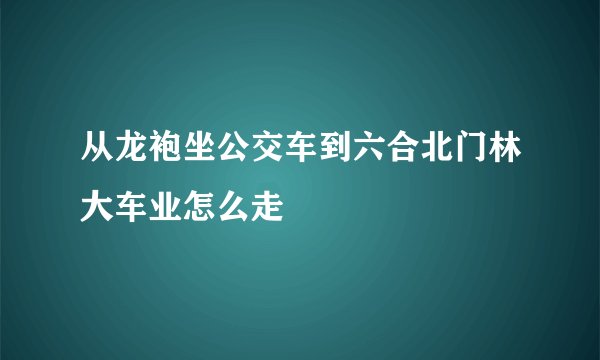 从龙袍坐公交车到六合北门林大车业怎么走