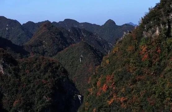 驴友拿出她的吃的跟我们分享