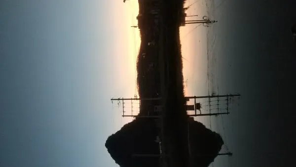 减肥晚餐吃什么健康又营养？