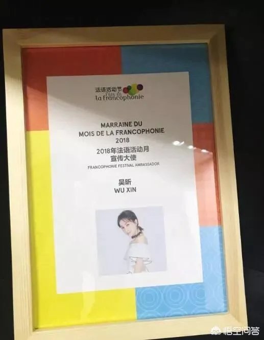 法语活动月宣传大使吴昕，是怎样逆袭成功的？