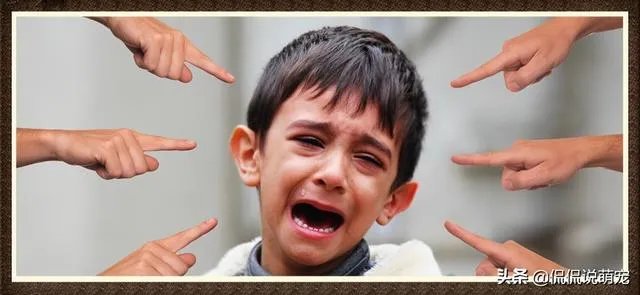 为什么我家狗狗每次突然见到主人我，都会尿失禁？