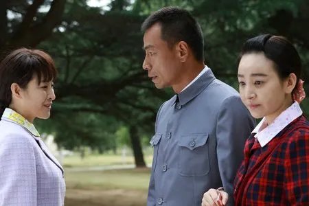 养母的花样年华演员介绍有哪些？