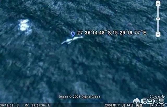 南极洲发现的神秘物种ningen真的存在吗？