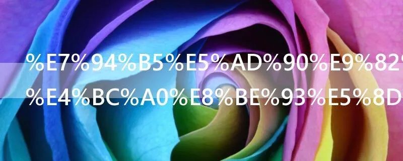 电子邮件的传输协议是什么