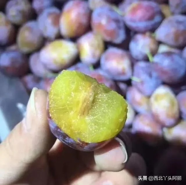 智利西梅好还是澳洲西梅好？