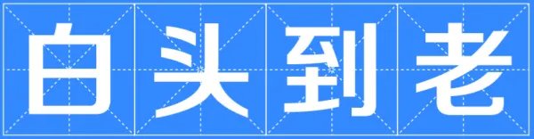 白头到老成语接龙50个