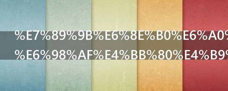 牛掰格拉斯是什么意思葛优