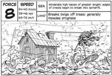 蒲福风级的风级