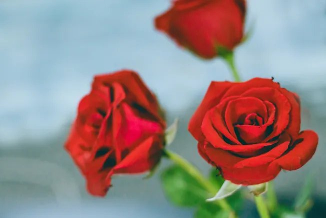 七夕情人节发多少红包合适