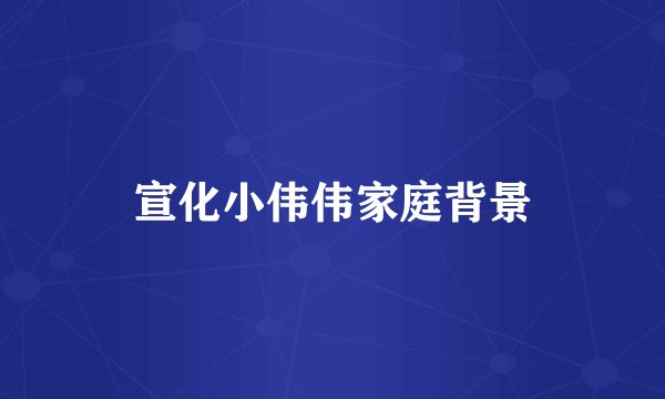 宣化小伟伟家庭背景