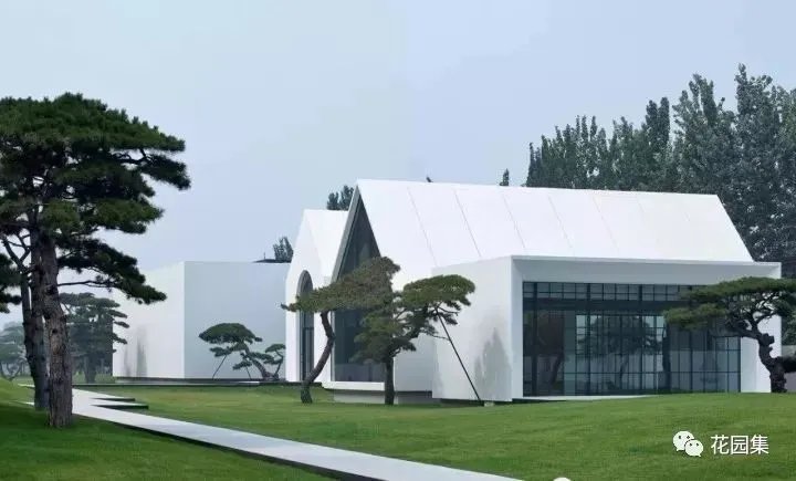 造型松，无奇不自由！气质庭院必备元素