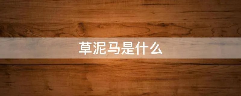 草泥马是什么
