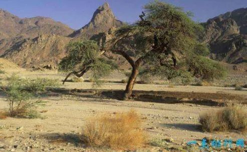 世界上哪个国家最冷,哪个国家最热?