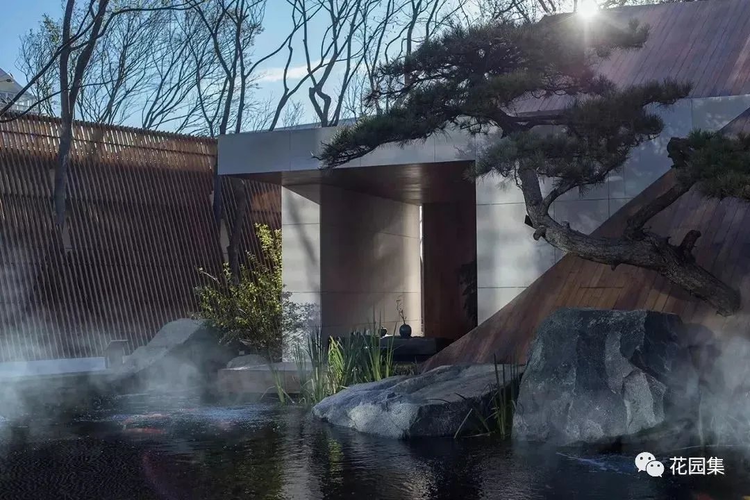 造型松，无奇不自由！气质庭院必备元素