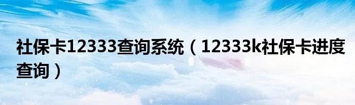 社保卡12333查询系统（12333k社保卡进度查询）