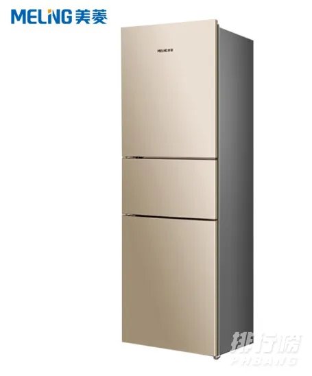 国内哪些电冰箱质量好_国内电冰箱质量排行榜