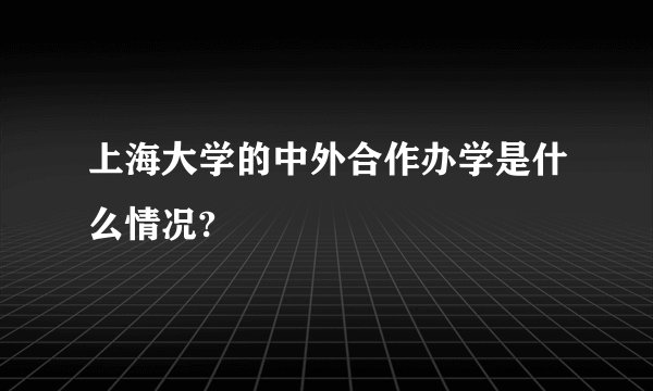 上海大学的中外合作办学是什么情况?