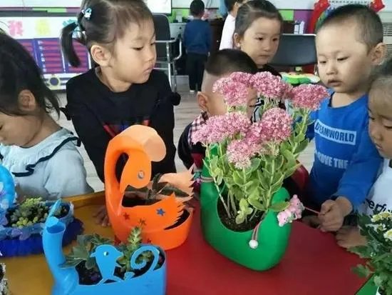 洗衣液瓶子做花盆制作方法图片