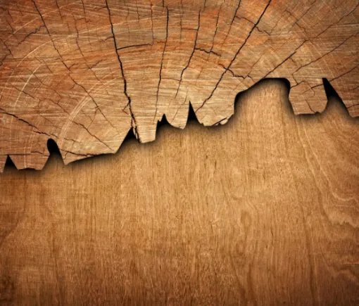 水命和木命的人结婚好吗 男水女木好姻缘解释