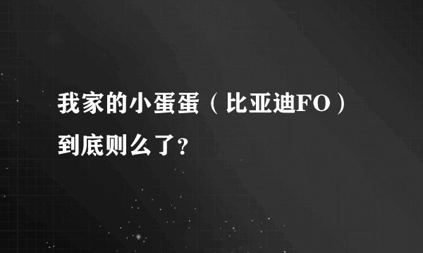 我家的小蛋蛋（比亚迪FO）到底则么了？