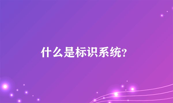 什么是标识系统？