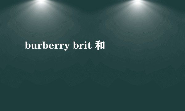 burberry brit 和