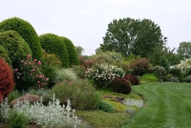原创:花境按植物材料的分类及各自优缺点