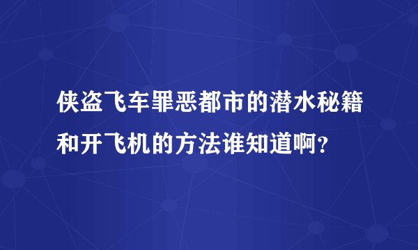 侠盗飞车罪恶都市的潜水秘籍和开飞机的方法谁知道啊？