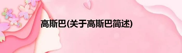 高斯巴(关于高斯巴简述)