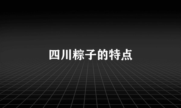 四川粽子的特点