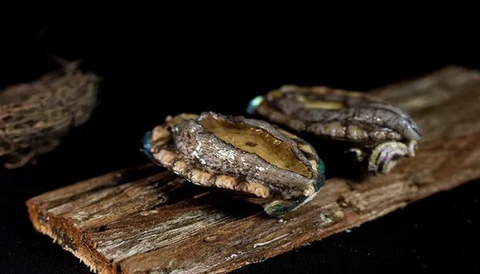 鲍鱼怎么做最简便最好吃呢 鲍鱼简便又好吃的做法
