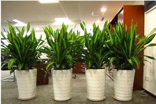 怎么让房间隔音