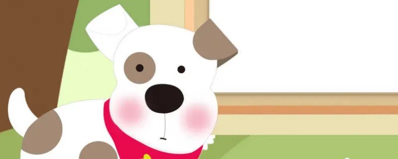 茶杯犬能活多久