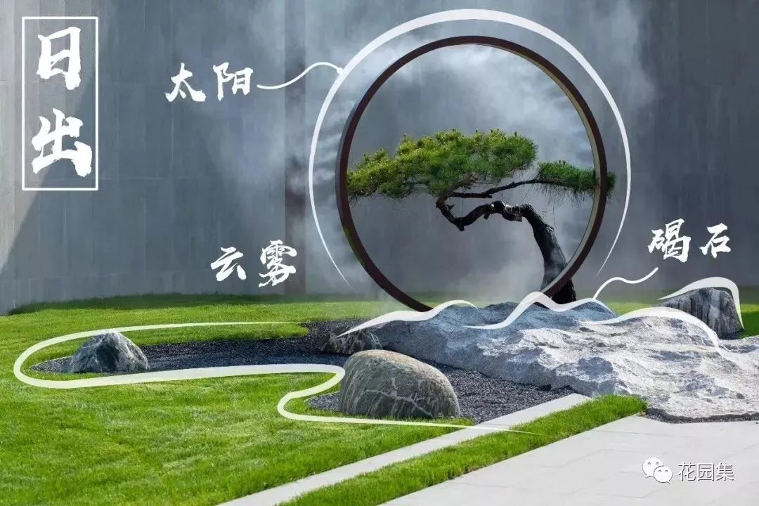 造型松，无奇不自由！气质庭院必备元素