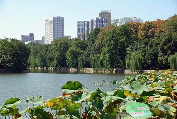 包河公园的公园简介