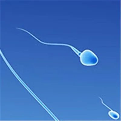 同房后几天能测出怀孕？