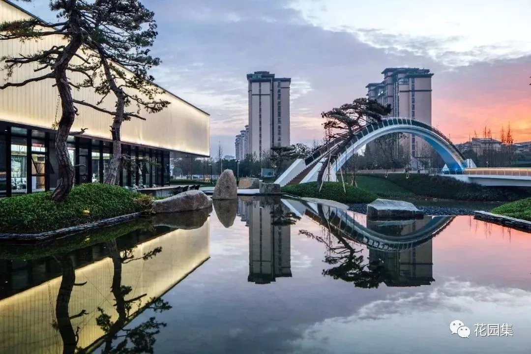 造型松，无奇不自由！气质庭院必备元素