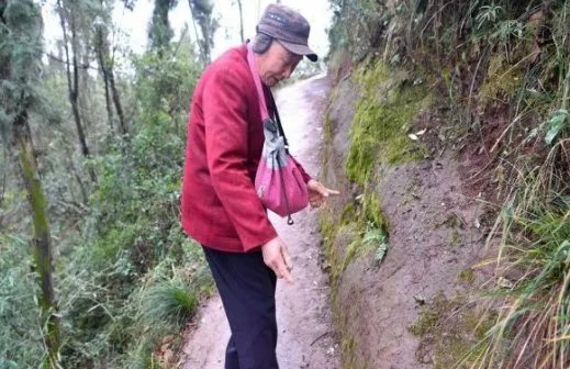 8旬老人被称愚公他做了什么事情？