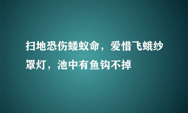 扫地恐伤蝼蚁命，爱惜飞蛾纱罩灯，池中有鱼钩不掉
