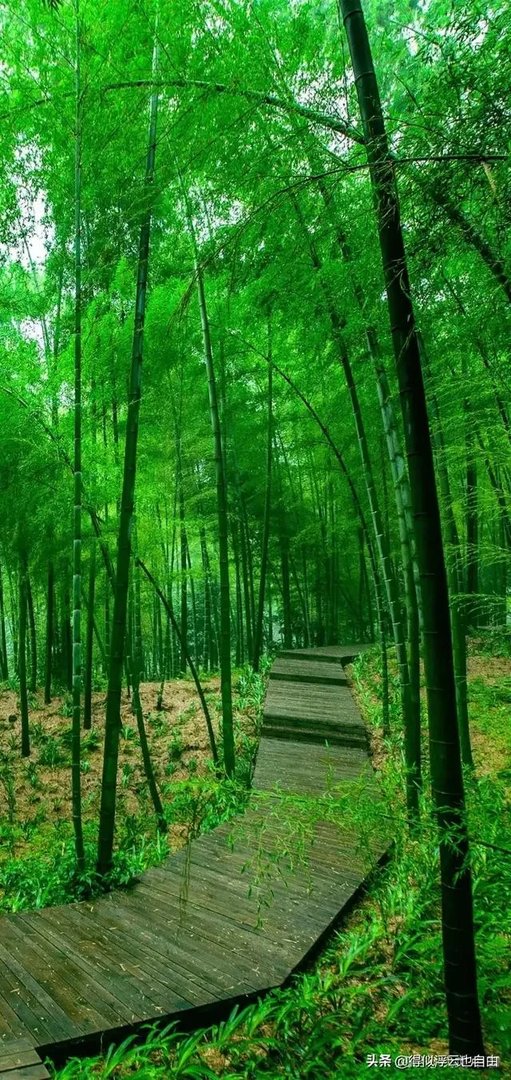 本周快乐大本营和王牌对王牌出现了同样的游戏!到底谁是原创?