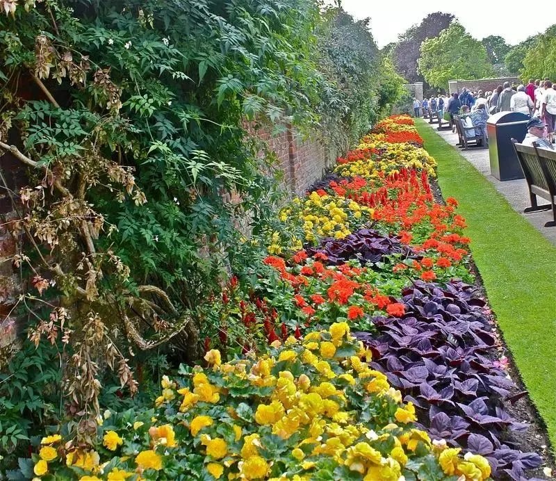 原创:花境按植物材料的分类及各自优缺点