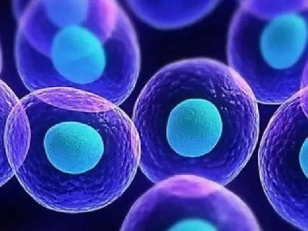 试管取卵过程-揭秘试管婴儿取卵过程——7个步骤只需10-20分钟（图文分析）