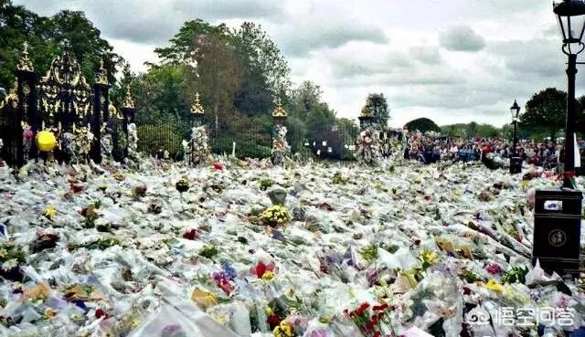 凯特金色战袍是致敬戴妃的