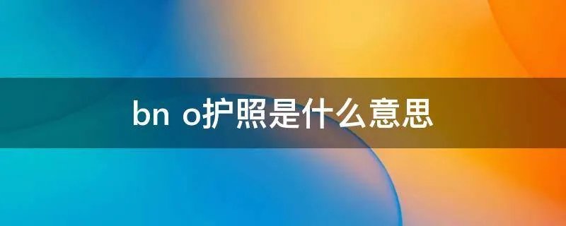bn o护照是什么意思