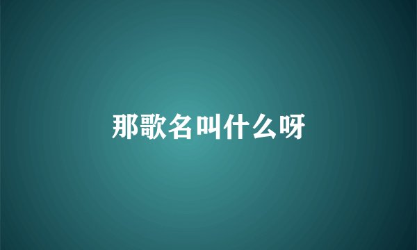 那歌名叫什么呀