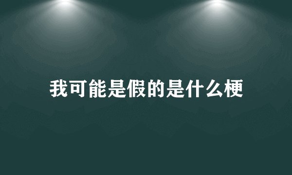 我可能是假的是什么梗