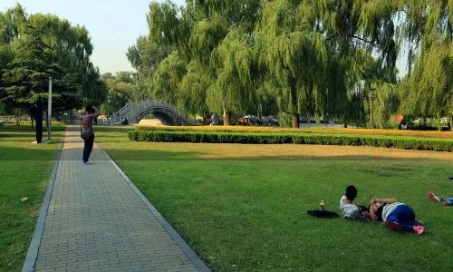 求邢台旅游景点大全排名，哪些比较值得去？